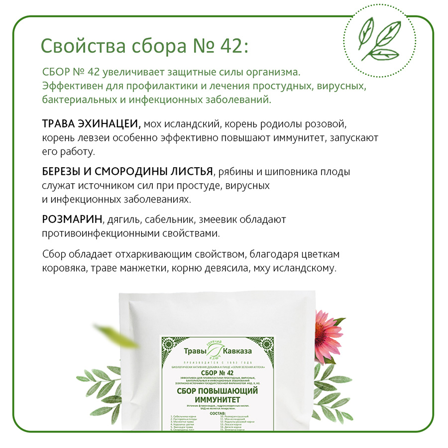 Сбор №42 Повышающий иммунитет, 200 гр. — изображение 3