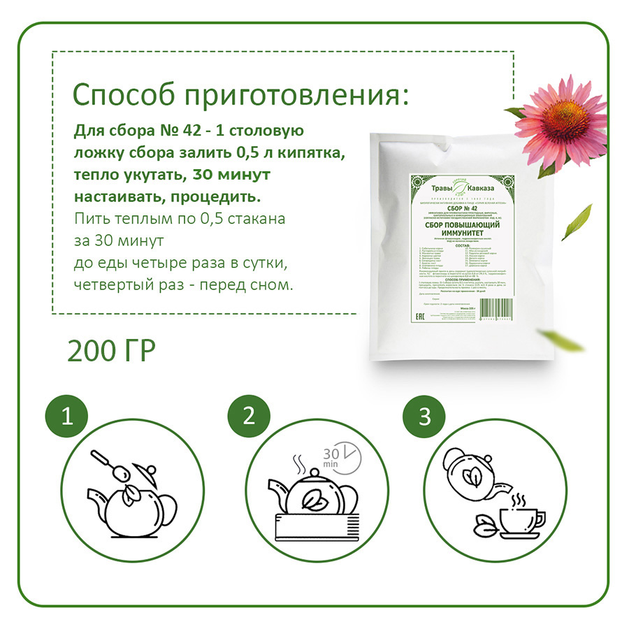 Сбор №42 Повышающий иммунитет, 200 гр. — изображение 4