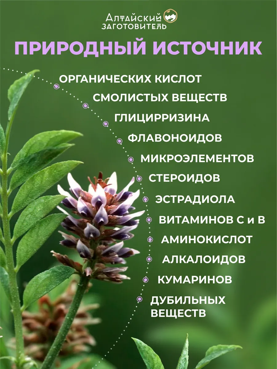 Солодки корень капсулы 60 шт. — изображение 4