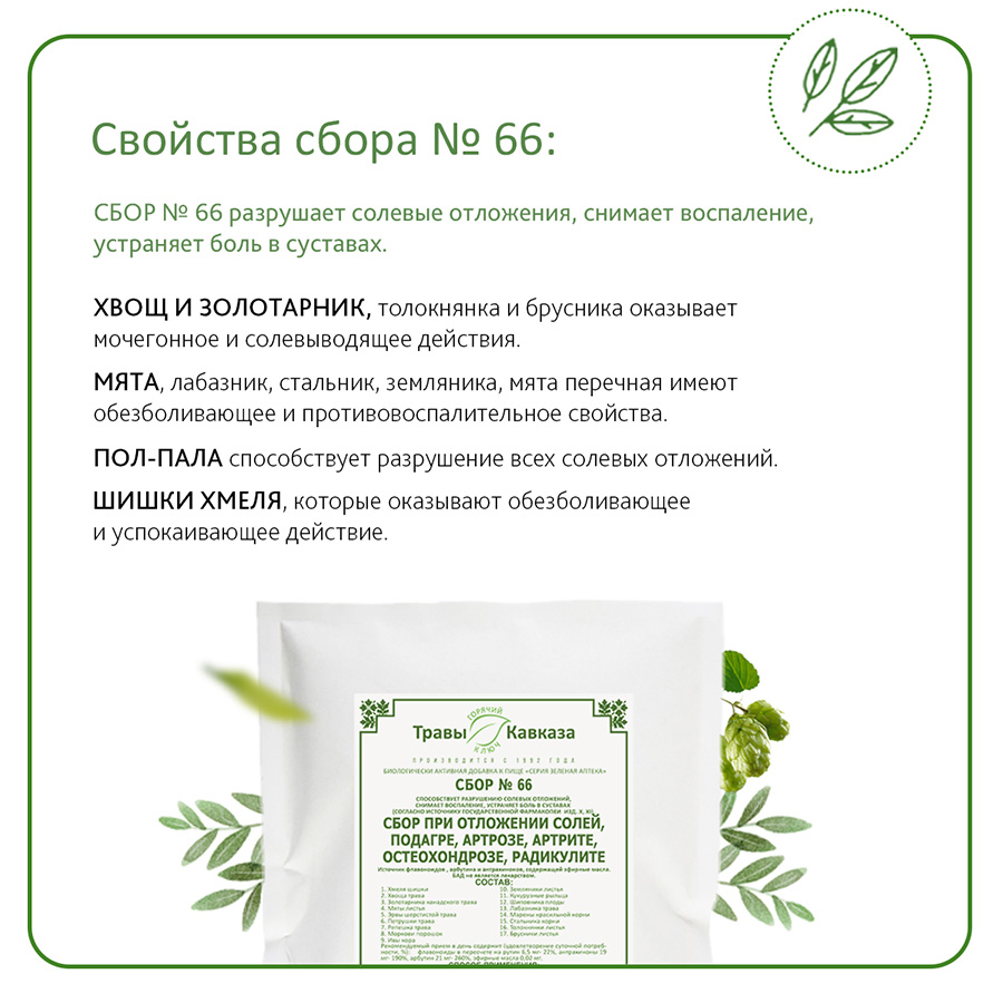 Сбор №66 При отложении солей, подагре, артрозе, остеохондрозе, артрите, радикулите, 200 гр. — изображение 4