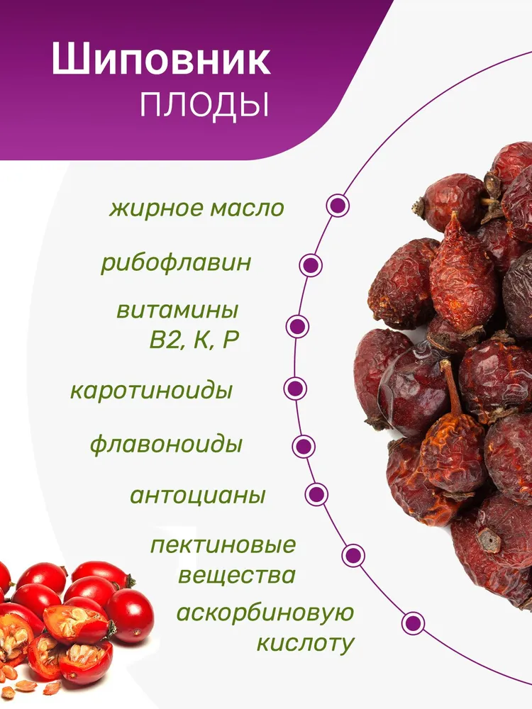 Шиповник (плоды), 150гр. — изображение 5