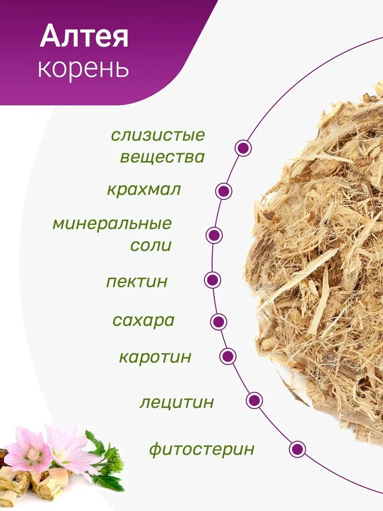 Алтея корень, 100гр. — изображение 4